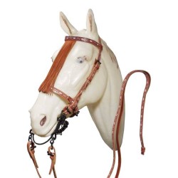 Ornamented spanish bridle