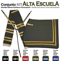 Conunto alta escuela