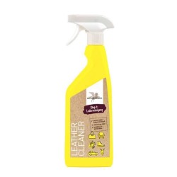 LIMPIADOR PARISOL SPRAY PASO 1