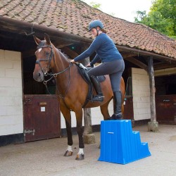 ESCALERA REPARO STUBBS