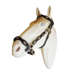 CABEZADA PORTUGUESA ECONÓMICA