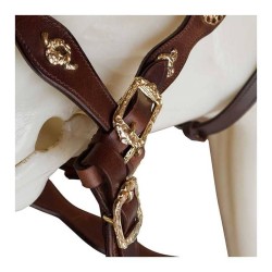 CABEZADA PORTUGUESA ECONÓMICA