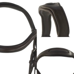 Cabezada inglesa Lexhis Dayana con riendas de lona