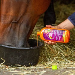 Jarabe EQUINATURA Herbal Syrup