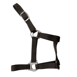 Cabezada cuadra nylon económica