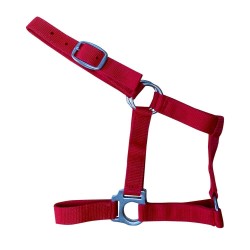 Cabezada cuadra nylon económica