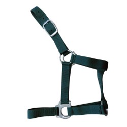 Cabezada cuadra nylon económica