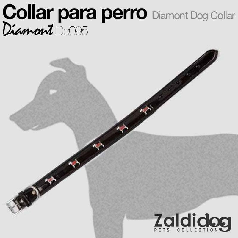 Perro collar Diamond