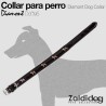 Perro collar Diamond