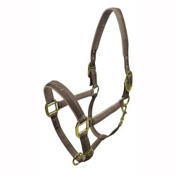 Conjunto Maillard para salto