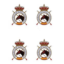 Pegatina Real Federación...