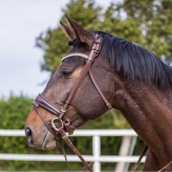 Cabezada para filete ergonómica con frontalera decorada y riendas de lona