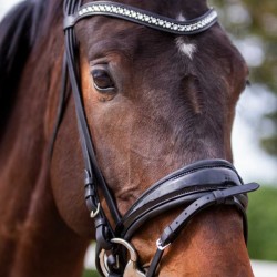 Cabezada para filete ergonómica con frontalera decorada y riendas de lona