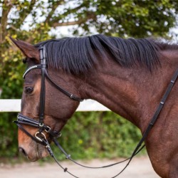Cabezada para filete ergonómica con frontalera decorada y riendas de lona