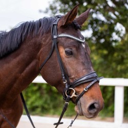 Cabezada para filete ergonómica con frontalera decorada y riendas de lona