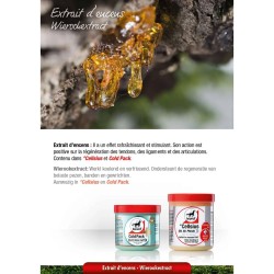LEOVET GEL TENDONES COLD PACK