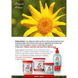 LEOVET GEL TENDONES COLD PACK