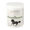 Zinc – For immune system, horn and hair