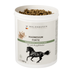 Magnésium forte – Pour un meilleur équilibre