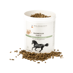 Magnesium forte: para un mayor equilibrio