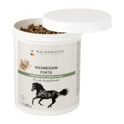 Magnésium forte – Pour un meilleur équilibre