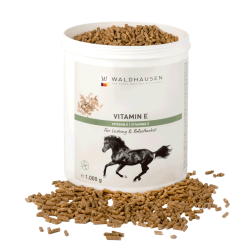 Vitamine E – Favorise les...