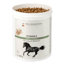 Vitamine E – Favorise les performances et la résistance