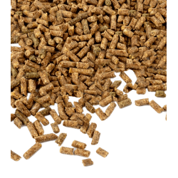 Vitamin E - For performance & resilience