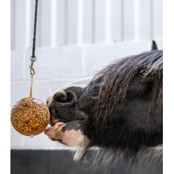 Likit Granola Stallball Apple