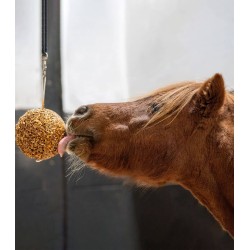 Likit Granola Stallball Apple