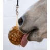 Likit Granola Stall-Ball