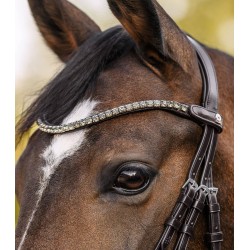 Shine Waldhausen X-Line browband, brown