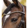 Frontalera Waldhausen X-Line Shine