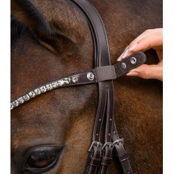 Shine Waldhausen X-Line browband, brown