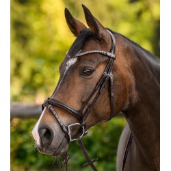 Shine Waldhausen X-Line browband, brown