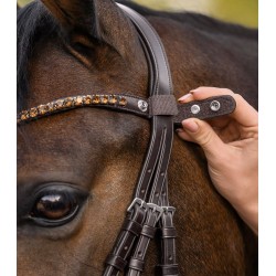 Waldhausen X-Line Frontal Shine, marron