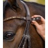 Waldhausen X-Line Frontal Shine, marron