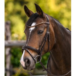 Waldhausen X-Line Frontal Shine, marron
