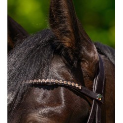 Waldhausen X-Line Frontal Glam, marron