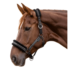 Halfter Elegant