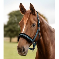 Halfter Elegant