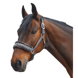 Elegant halter