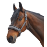 Capezza Elegant