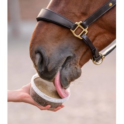 Cuenco para lamer StableSnack