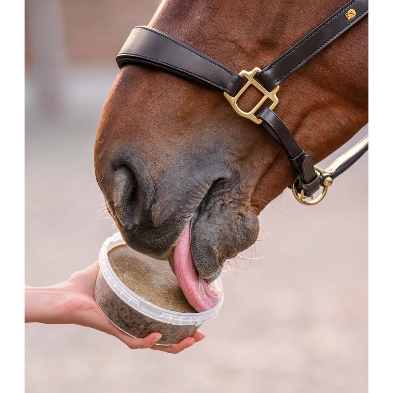 Cuenco para lamer StableSnack