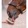 Cuenco para lamer StableSnack