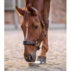 Cuenco para lamer StableSnack