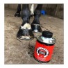 Aceite para cascos CARR & DAY & MARTIN - Daily Hoof Barrier Cornucrescine