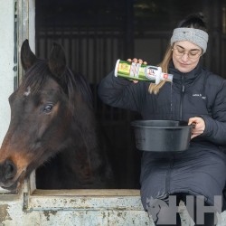 BIOTINA LIQUIDO LEOVET