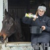 BIOTINA LIQUIDO LEOVET